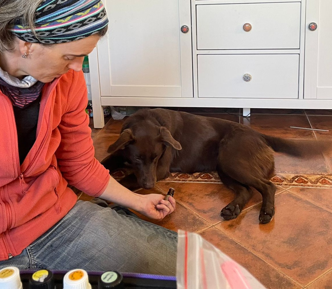 Alena educando a un perro
